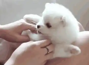 (GIF Courtesy: giphy.com)