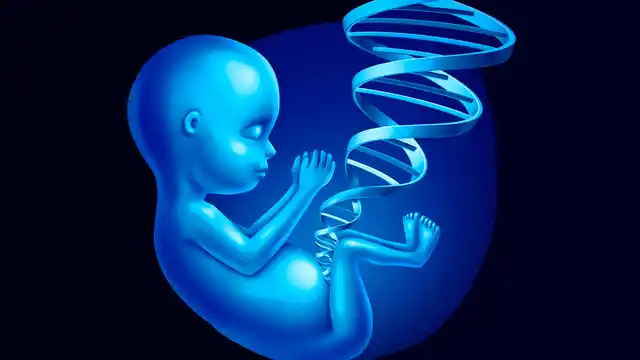 The Medical Termination of Pregnancy Act allows for abortion only upto 20 weeks