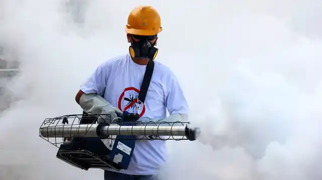 Dengue and chikungunya have claimed at least 35 lives and over 2,800 people are down with mosquito-borne fever in the national capital. (Photo: iStock)