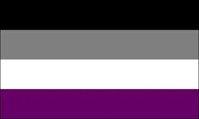 The ace flag. (Photo Courtesy: Asexuality India)