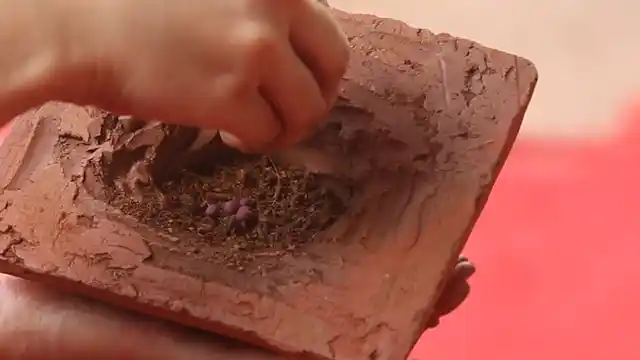 The final step- adding the seeds. (Photo: The Quint)