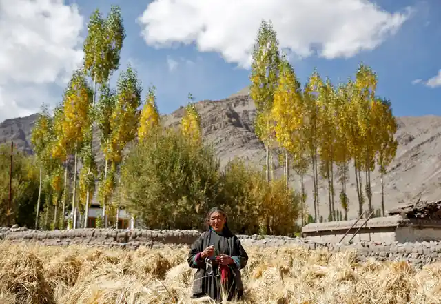 Tashi Phutit, 81, a wheat farmer and housewife poses for a photograph in the village of Stok. (Photo: Reuters)