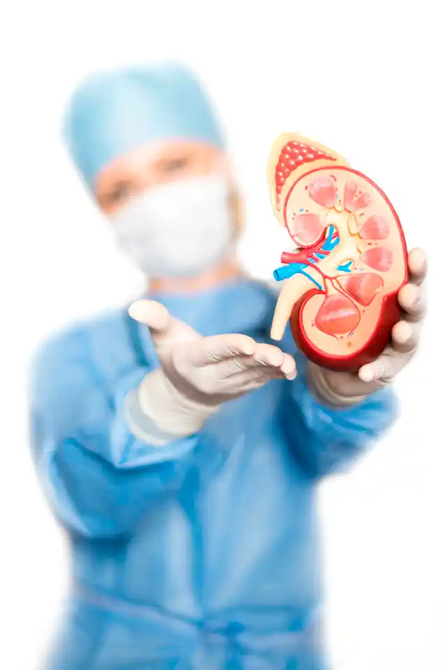 Most transplants are safe and necessary yet infections occur because organ donations are done in a crisis, sometimes infections are false negative at first, since time is of essence, it’s not always tested again, screening protocols also vary tremendously across hospitals. (Photo: iStock)