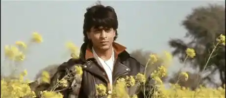 The iconic <i>DDLJ </i>pose.