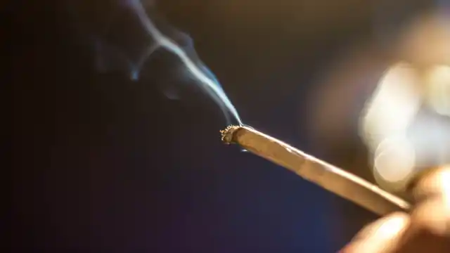 Medical cannabis may help with nausea and vomiting in those seeking chemotherapy.