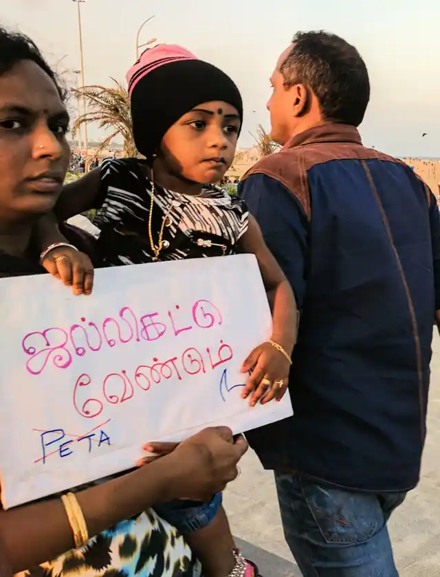 Divya Rajendran, at the Chennai Marina Beach. The placard reads ‘We need Jallikattu’ (Photo: Vikram Venkateswaran)