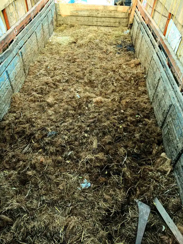 Truckload of meat. This is where most of the cattle bought or sold at the market this time, will end up. 