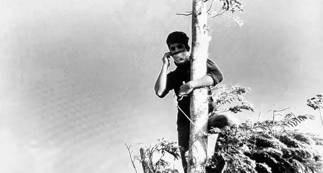 Stalin, who’s climbed up a tree at the protest in Chennai’s Marina Beach. (Photo: Vikram Venkateswaran)