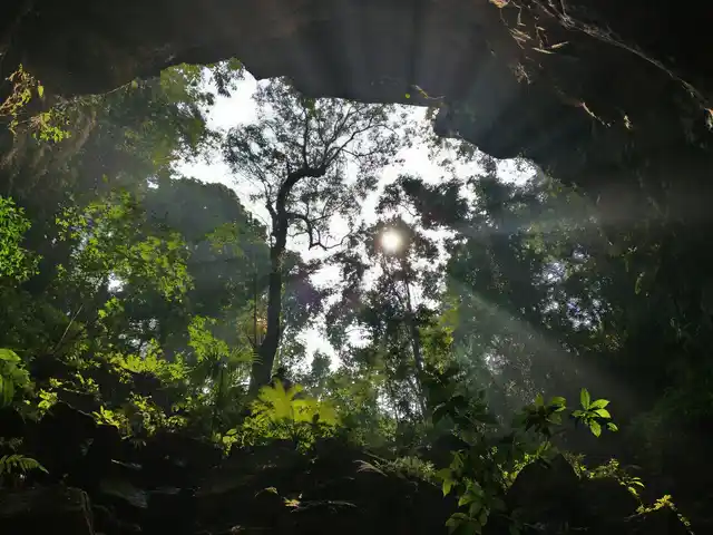 View from inside the bat cave. (Photo: Manon Verchot)