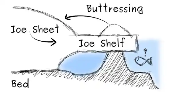 (Image courtesy: Norwegian Polar Institute/Reinhard Drews)