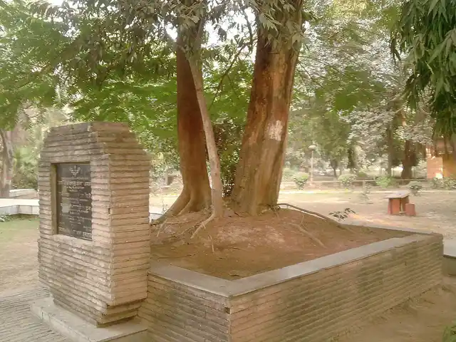 The tree in Alfred Park under which Azad shot himself. (Photo: <a href="https://en.wikipedia.org/wiki/Chandra_Shekhar_Azad#/media/File:The_tree_at_whose_platform_Azad_shot_himself.jpg">Wikipedia)</a>
