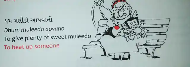 The phrases have been illustrated by renowned cartoonists, Hemant Morparia and Farzana Cooper. (Photo Courtesy: Vani)