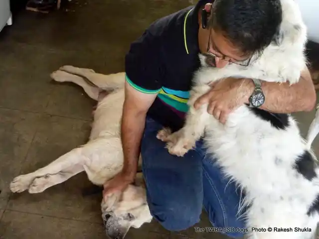 Sandhya from Mangalore Police. (Photo Courtesy: Voice of Stray Dogs)