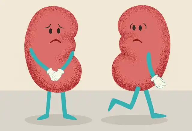 Removing a kidney is a major surgery, which includes risk of complications during the procedure. (Photo: iStock)