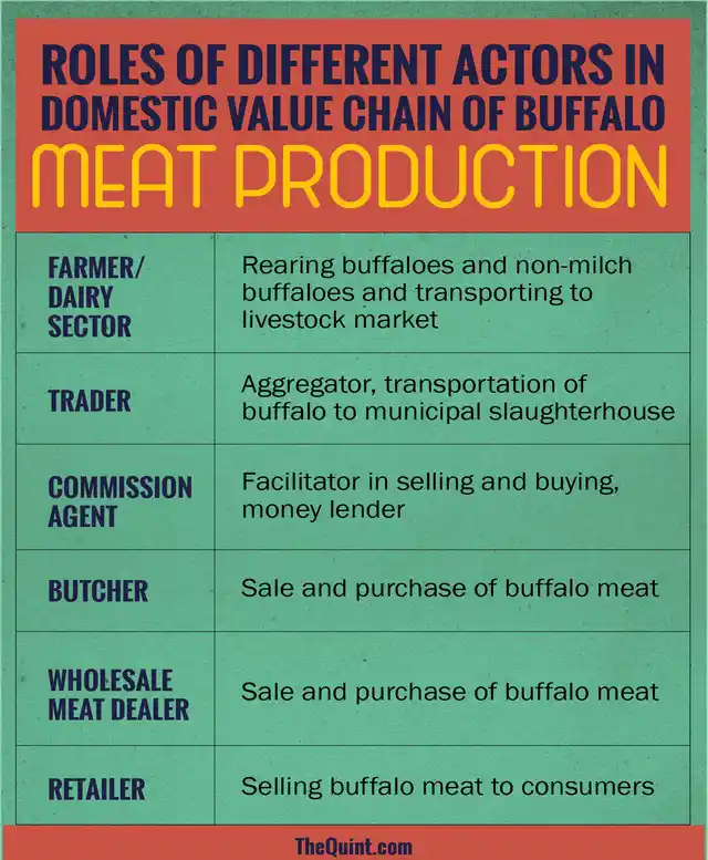 The roles of different actors in the domestic value chain of buffalo meat production. (Infographic: Harsh Sahani/<b>The Quint</b>)