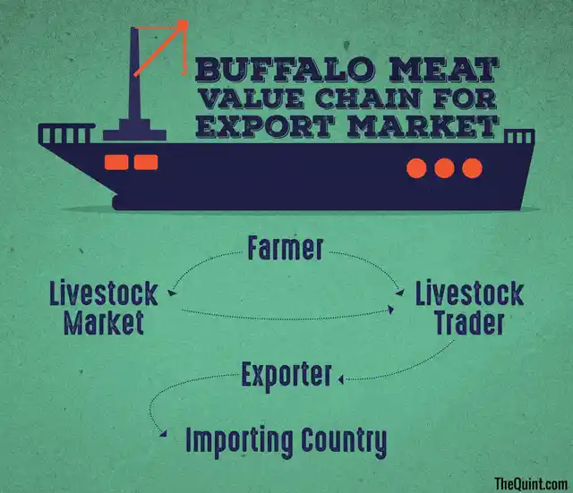 Role of the key actors in the export market. (Infographics: Harsh Sahani/<b>The Quint</b>)