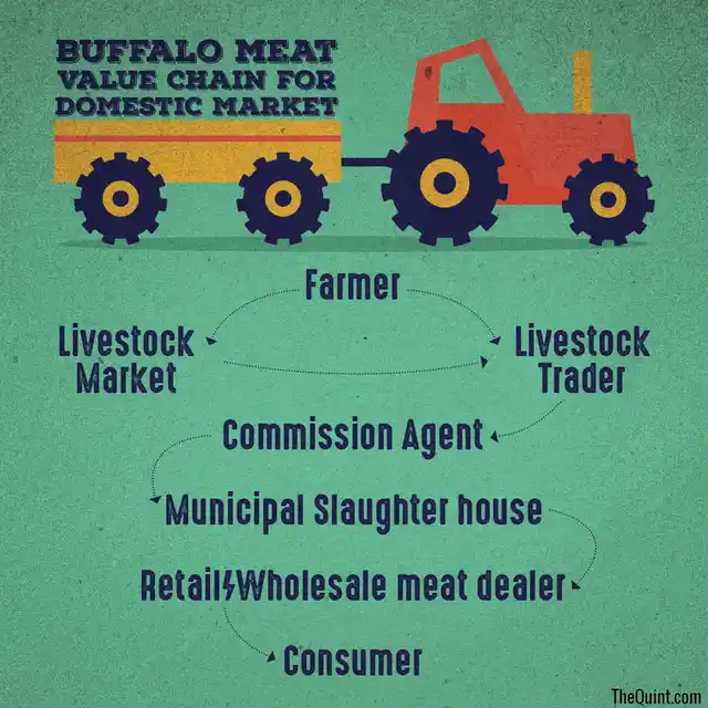 Role of the key actors in the domestic market. (Infographics: Harsh Sahani/<b>The Quint</b>)