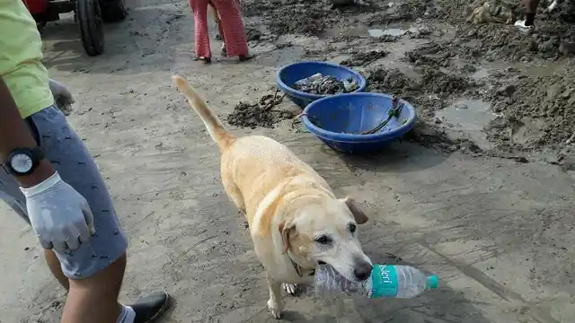 The team got all the help they could. (Photo courtesy: <a href="https://www.facebook.com/cleanupversovarockbeach/">Facebook/ Cleanupversovarockbeach</a>)