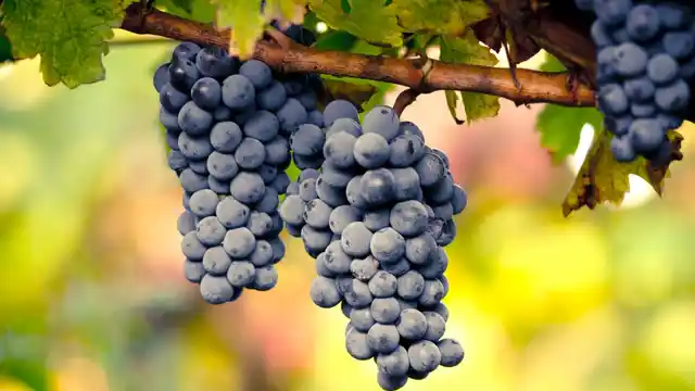 Grapes, or carrots - both are rich in pectin, a soluble fiber that lowers blood cholesterol