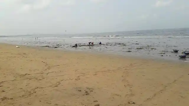The end result meets Afroz’s vision of a cleaner, healthier Mumbai. (Photo courtesy: <a href="https://www.facebook.com/cleanupversovarockbeach/">Facebook/ Cleanupversovarockbeach</a>)