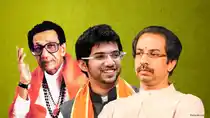 The Shiv Sena was formed on 16 June 1966. (Graphic: <b>The Quint</b>)