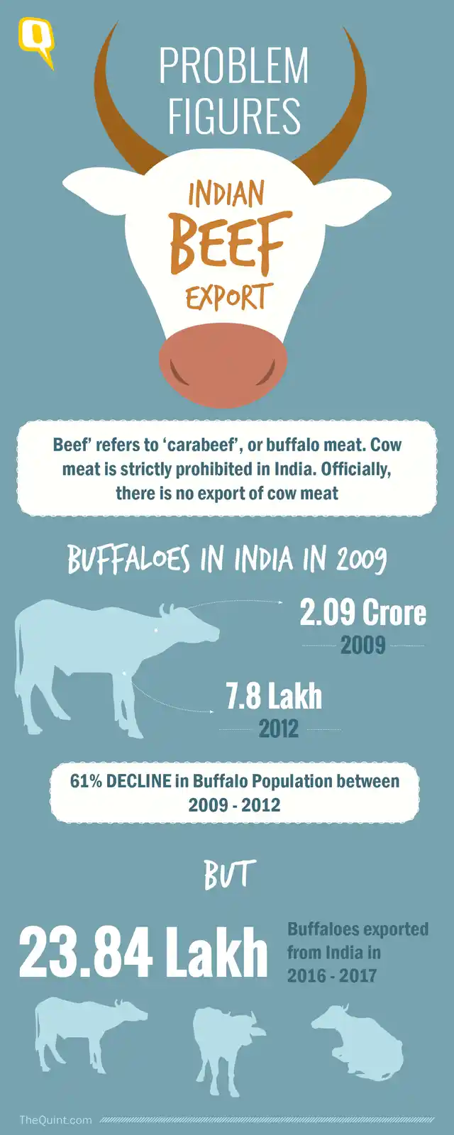 (Infographic: Rahul Gupta/<b>The Quint</b>)