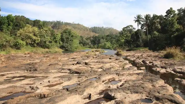 Landscape of Thekkady, Kerala. 