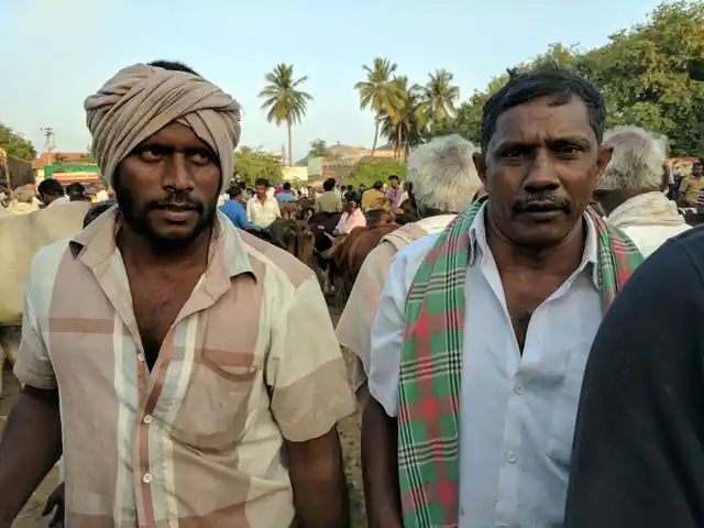 There has been no stakeholder consultation in the formation of the new cattle market rules. This is troubling in that it is the norm. (Photo: Vikram Venkateswaran/<b>The Quint</b>)