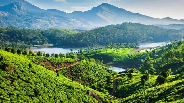 Tea plantations and river in hills in Munnar. 