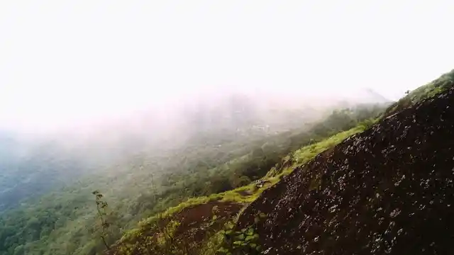 Sweeping view of Ponmudi Hills. 