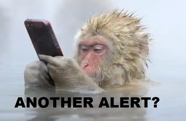 Monitor all alerts from the bank. 