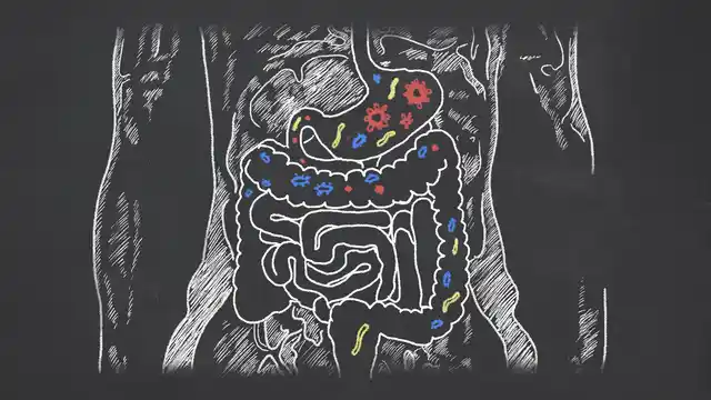 Our gut is quite rightly called the ‘second brain’!