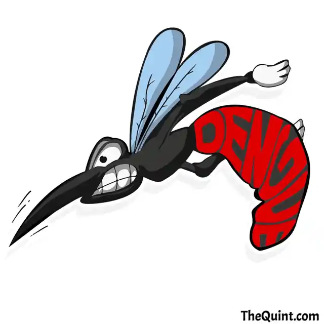 Dengue emoji