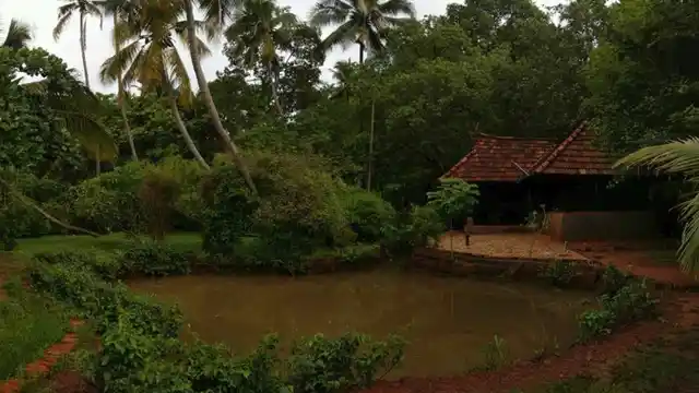 Sarovaram Ayurvedic Health Center.