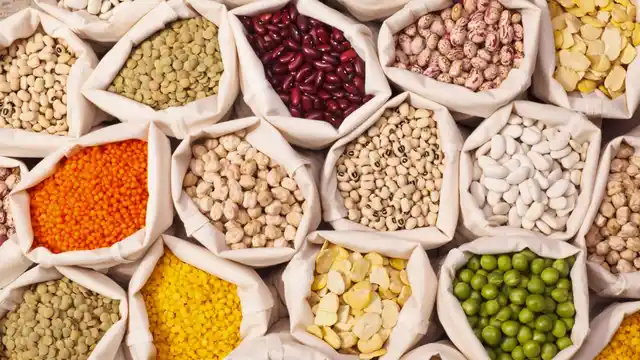 Pulses, legume, jowar, bajra all offer quality protein. 