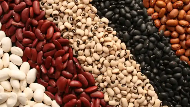 Beans must be included in the diet. 