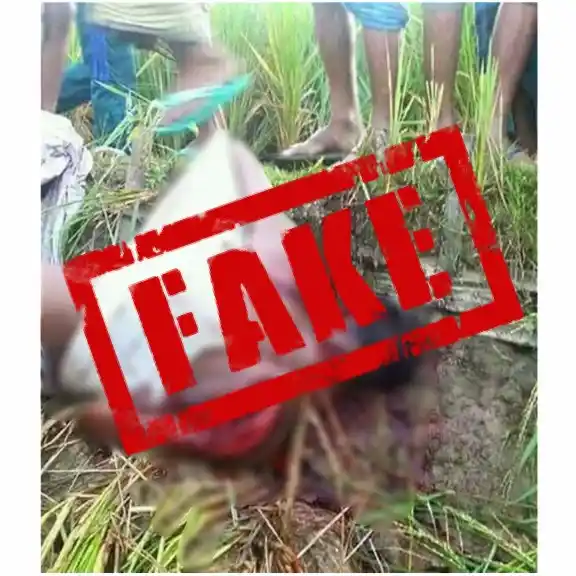 (Photo: Altered by <b>The Quint</b>)