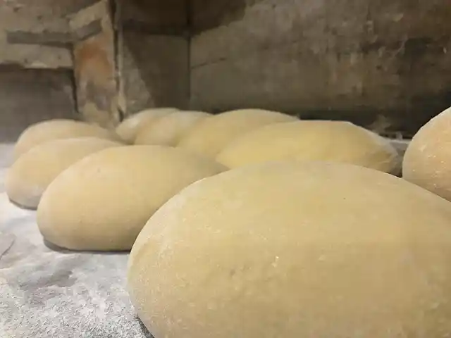 The well kneaded dough.