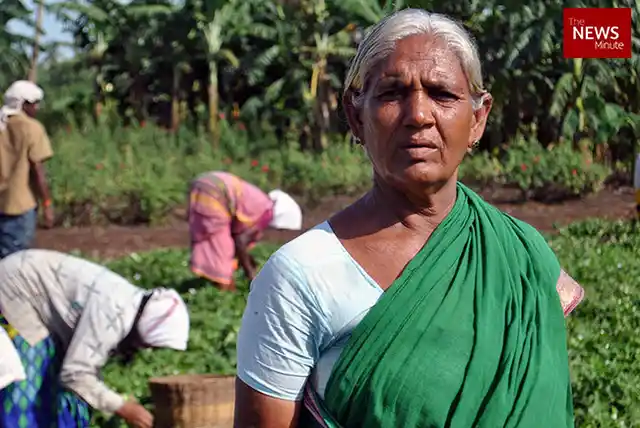 Raghavamma, who earns Rs 600 per day as a farm labour supervisor worries how she’ll raise three grandchildren on the Rs 2,500 pension for landless labourers
