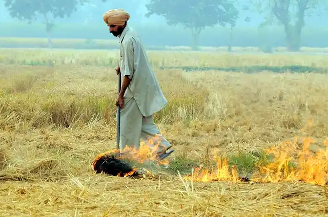 A farmer burns paddy crop residue in south east Punjab.