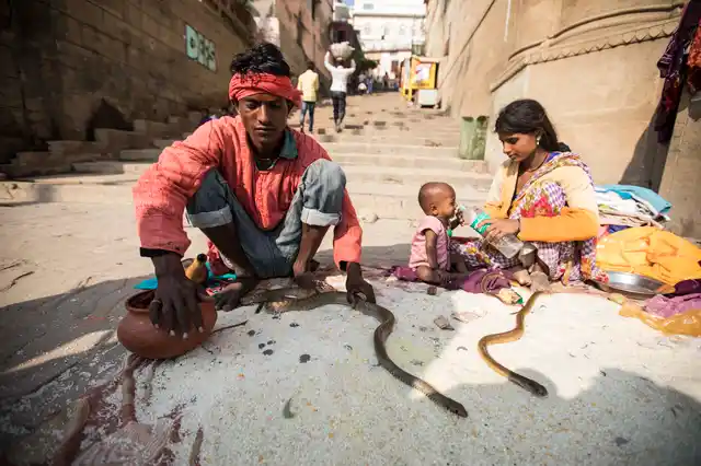 A snakecharmer in Varanasi.