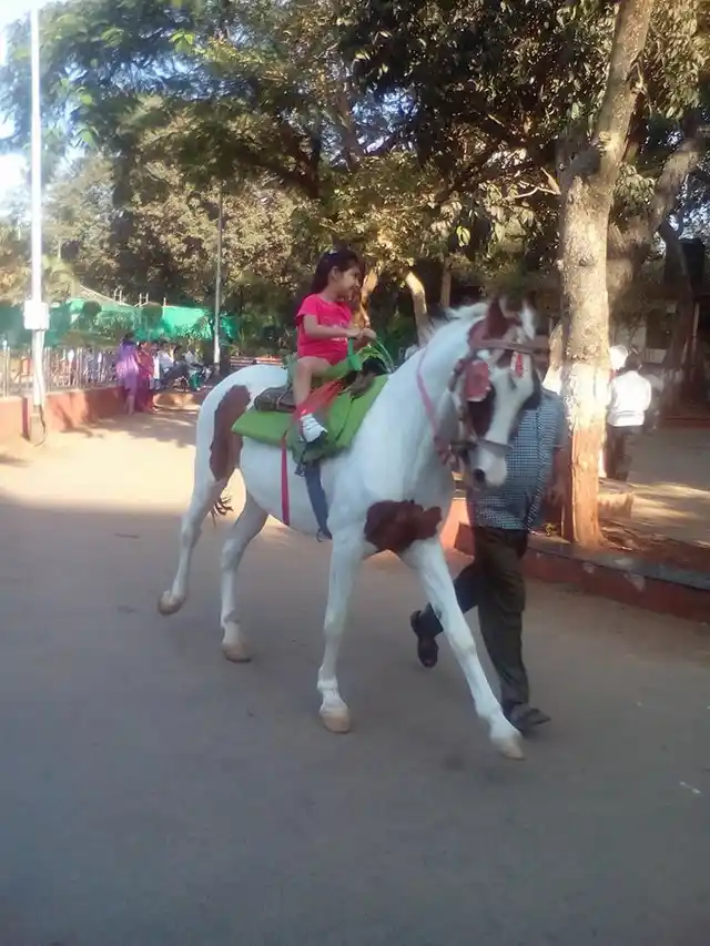 Representational image of a little girl riding a horse at Cooperage Ground.