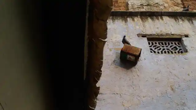 Pigeons and goats are the only frequent visitors to the tomb.