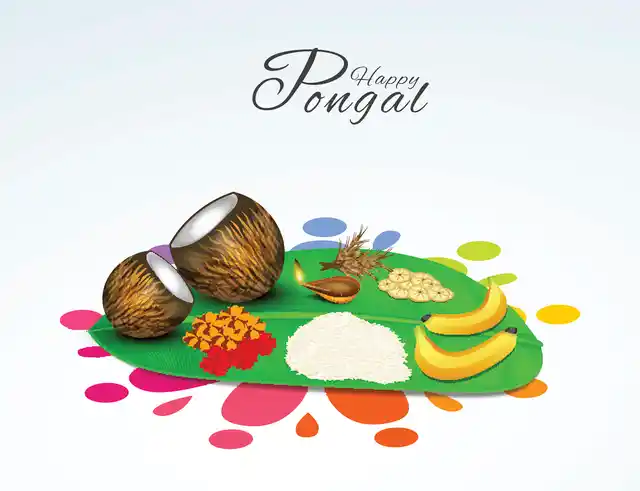 Pongal is also the name of a dish that is made on this festival.