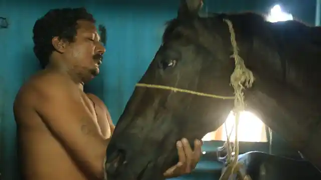 Dilip Jaiswal grooms his horse in his stable.
