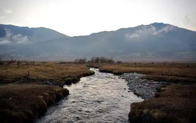 A stream runs through the Phobjikha Valley, Bhutan, 14 December 2017.