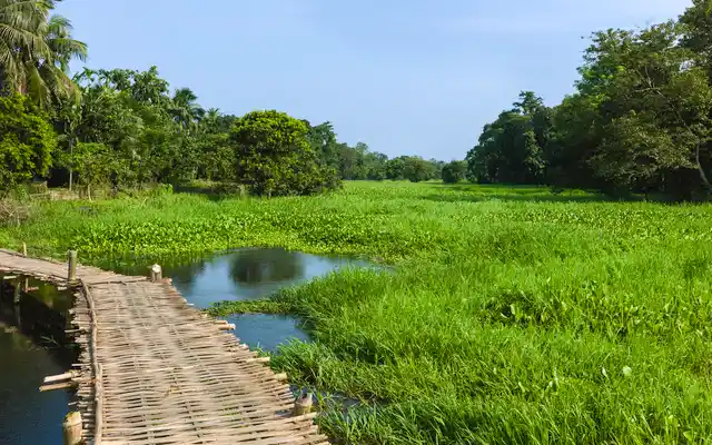 Majuli is an ideal weekend getaway in Assam. 