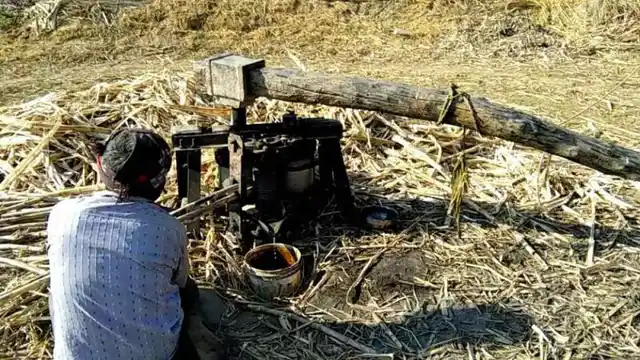Sugarcane is crushed in <i>kolooh</i> (Iron crushers)