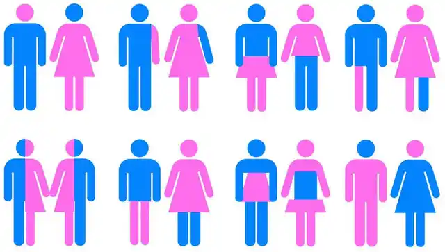 Love transcends the boundaries of genders and sexuality.