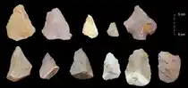 Middle Palaeolithic tools found at Attirampakkam.